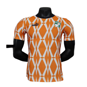 Camisa Costa do Marfim II 2023 Jogador