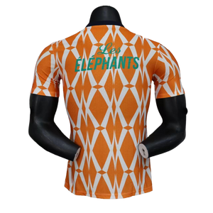 Camisa Costa do Marfim II 2023 Jogador