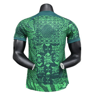 Camisa Nigeria Verde 2023 Jogador